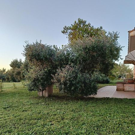 Agriturismo Fontelupo Bracciano  Buitenkant foto