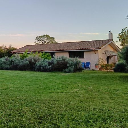 Agriturismo Fontelupo Bracciano  Buitenkant foto