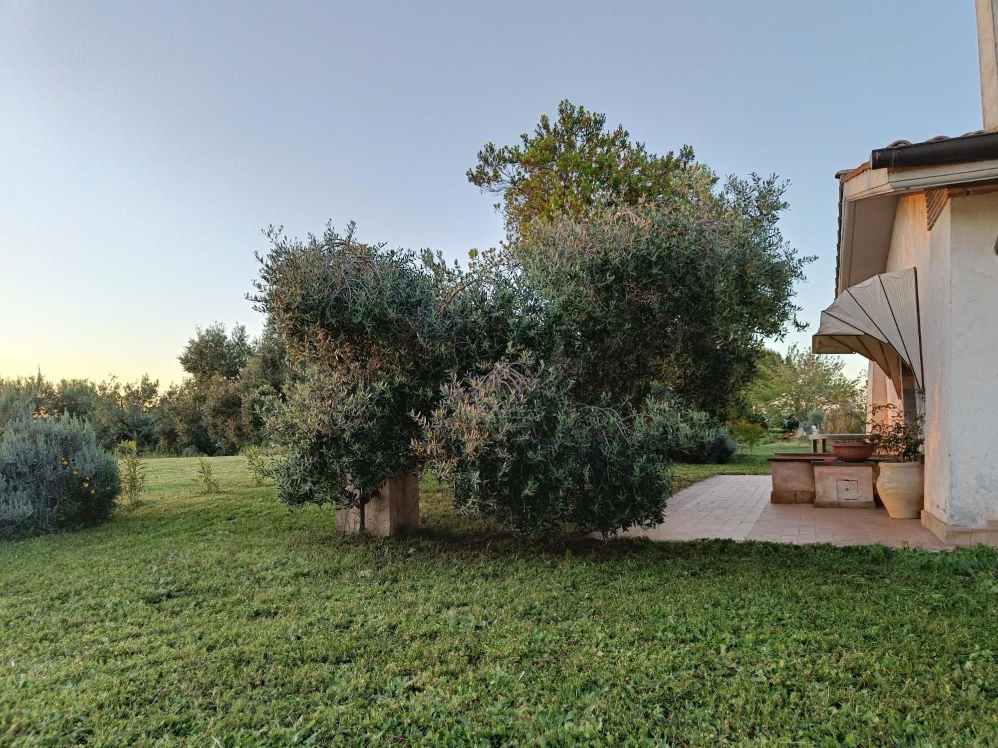 Agriturismo Fontelupo Bracciano  Buitenkant foto