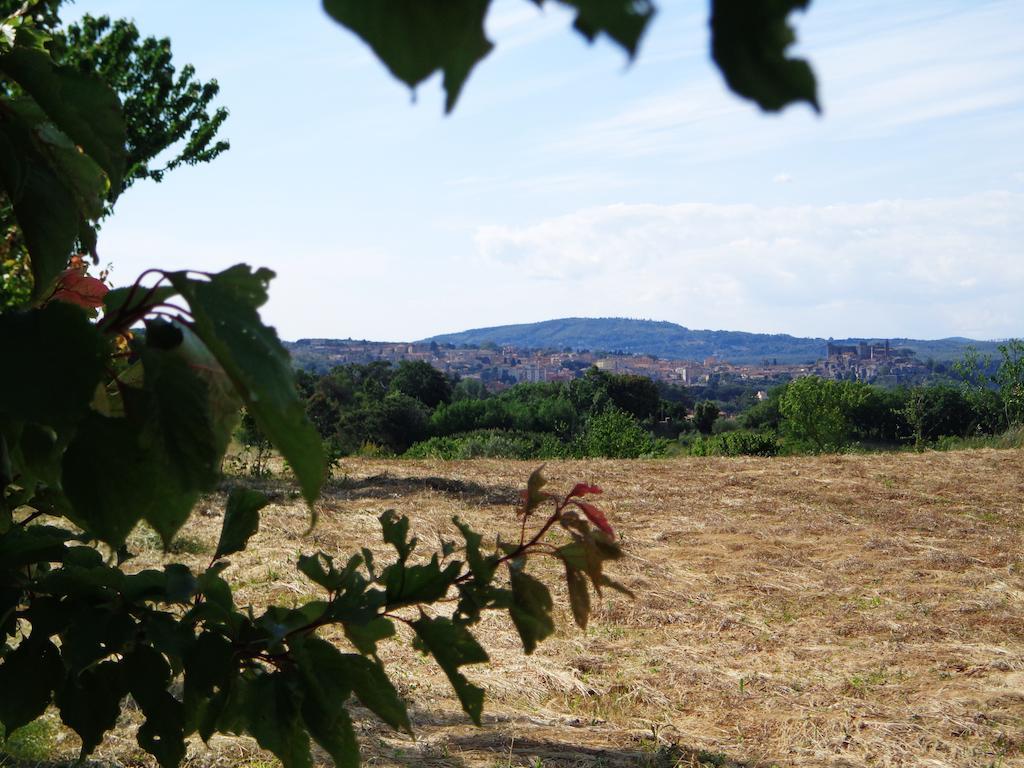 Agriturismo Fontelupo Bracciano  Buitenkant foto